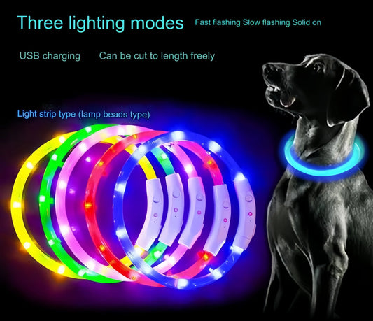 LED-krage för hund – Lyser i mörkret