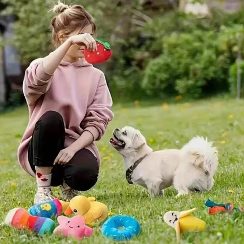 Leksakslåda till hund - 7 Mjuka leksaker